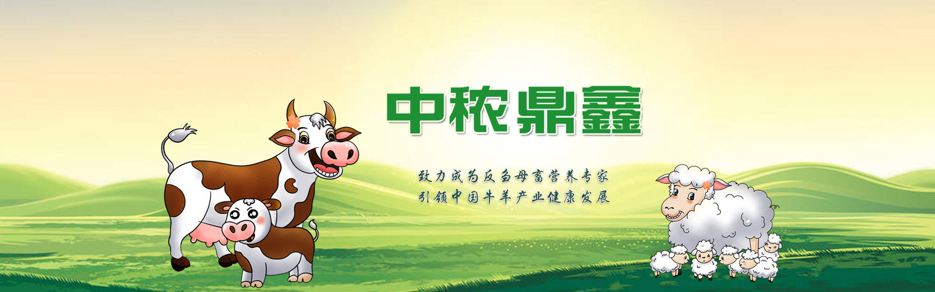 大產(chǎn)量、高精度的篩分設(shè)備